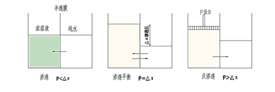 1630977730719191.png 5f6493084d7054f810cc5a41a313464.png